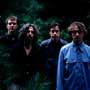 09_08_califone.jpg