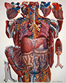 22_01a_95x120.jpg